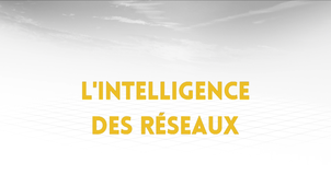 5.3. L'intelligence des réseaux
