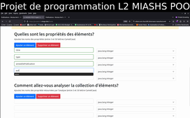 [Projet de programmation L2 MIASHS POO]