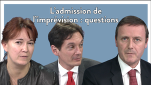 3.7. L’admission de l’imprévision : questions