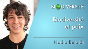 7.01	Biodiversité et paix
