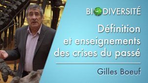 1.01 Définition et enseignements des crises du passé
