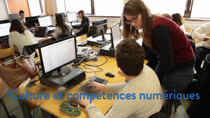 Culture et compétences numériques - témoignages