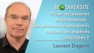 2.10 Prises accessoires et biodiversité: les pêcheurs capturent-ils toujours les espèces convoitées?