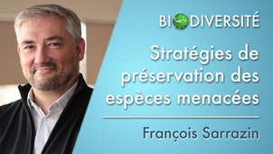 6.06	Stratégies de préservation des espèces menacées