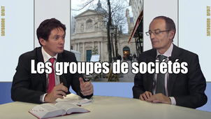 6.5. Les groupes de sociétés