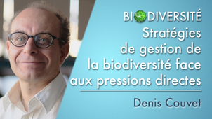 6.04	Stratégies de gestion de la biodiversité face aux pressions directes
