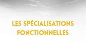 3.3. Les spécialisations fonctionnelles