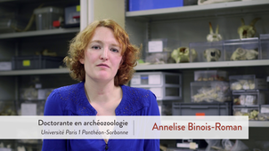 Archéozoologie et paléopathologie animale