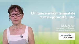 3.3 Ethique environnementale et développement durable