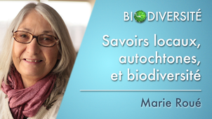 7.04	Savoirs locaux, autochtones, et biodiversité