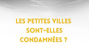 2.5. Les petites villes sont-elles condamnées ?