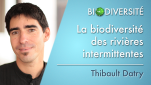 3.06 La biodiversité des rivières intermittentes