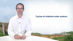 1.4 Cycles et relations entre acteurs