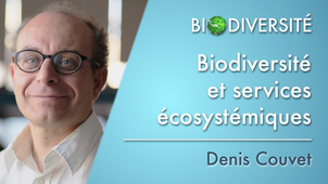 6.03	Biodiversité et services écosystémiques
