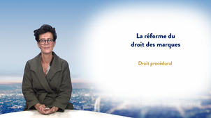 La réforme du droit des marques - Droit procédural