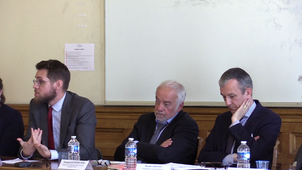 14/15 - Quel avenir pour la démocratie participative européenne ? - M. PIERRON - La participation citoyenne en matière sociale un exemple récent