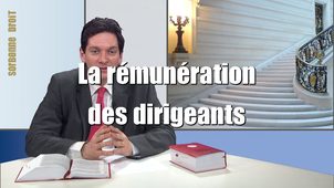 3.5. La rémunération des dirigeants