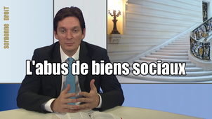 3.3. L’abus de biens sociaux