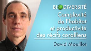 2.07 Complexité de l'habitat et productivité des récifs coralliens