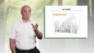 MOOC Arbre - La dynamique des formations arborées